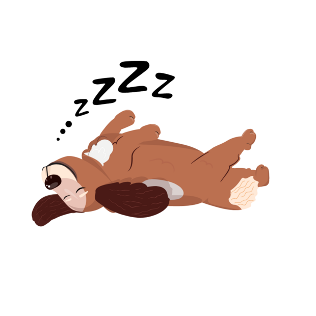 MANDEN, VETBEDDEN & SLAAPZAKKEN