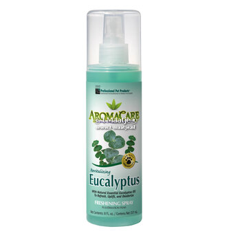 Eucaliptus conditioning spray