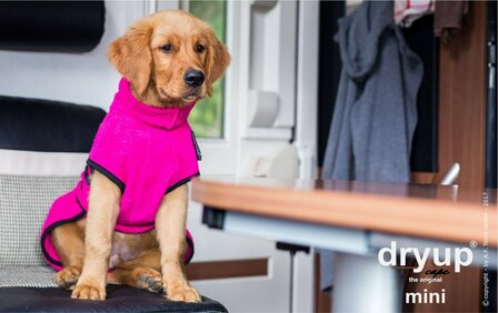 Dry-up Mini - Pink