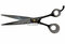 Rechte trimschaar (breed blad) - 21 cm (8,5 inch) - Black Edge 
