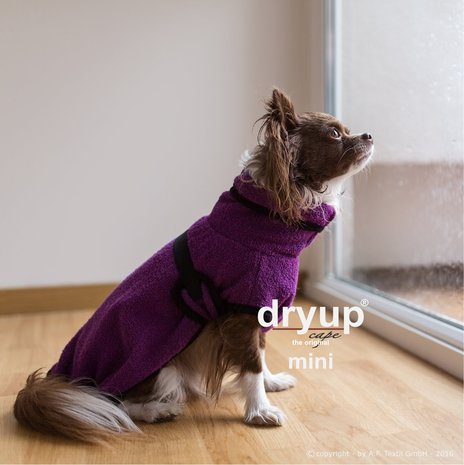 Dry-up Mini - Bilberry