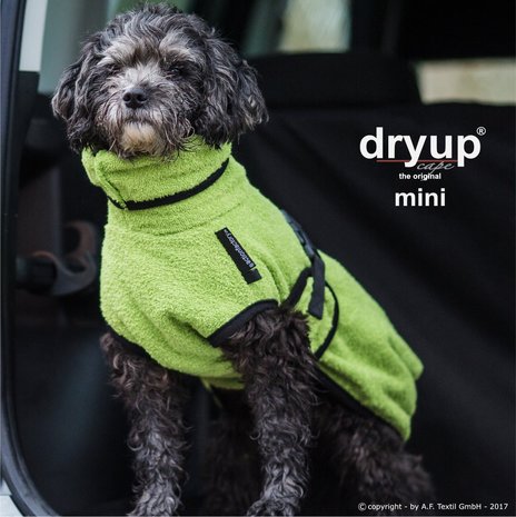 Dry-up Mini - Kiwi