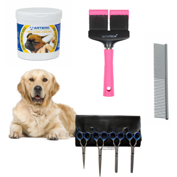 voordeelbundel Golden Retriever - BASIC