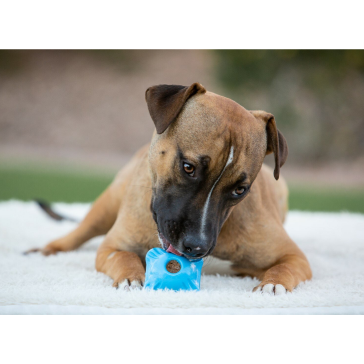 Jolly Flex-n-Chew Squarble Blauw