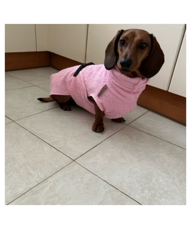 Teckel badjas - Bordeaux - Walk that Dog!