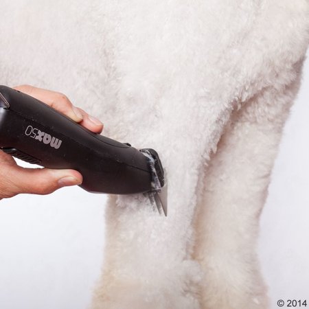 Tondeuse - Wahl Moser Max50