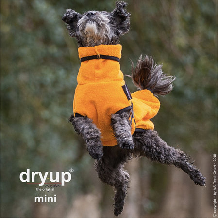 Dry-up Mini - Clementine