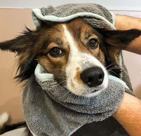 Furrish - Microvezel handdoek