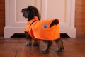 Walk that Dog! Teckel badjas - Royal Orange