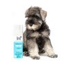 Hownd - Playful Pup Body Mist 250 ml