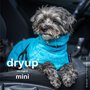 Dry-up Mini - Cyan