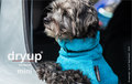 Dry-up Mini - Cyan