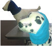 Padded Headies - oorbescherming voor honden - Large 